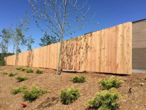 New wooden fence with young tree and small plants in sunny yard.