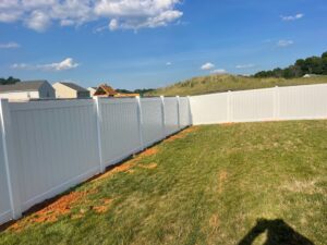 A sunny backyard with green grass and white vinyl fencing.