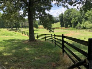 A peaceful countryside scene with a wooden fence and large trees.